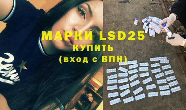 ГАЛЛЮЦИНОГЕННЫЕ ГРИБЫ Слюдянка