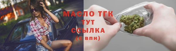 гидра Верхний Тагил