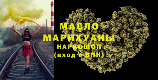 гидра Верхний Тагил