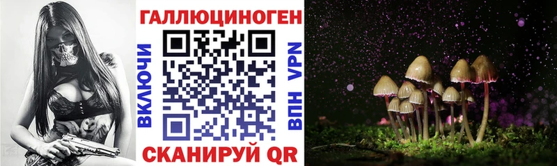 Галлюциногенные грибы Psilocybine cubensis  Лобня 